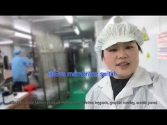 Chuyển đổi màng PET tùy chỉnh cho thiết bị y tế và ứng dụng công nghiệp